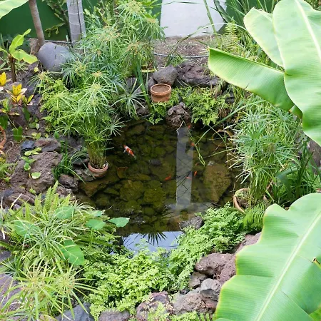 927 Amazing View El Dorado アパート