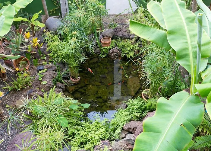 927 Amazing View El Dorado 公寓